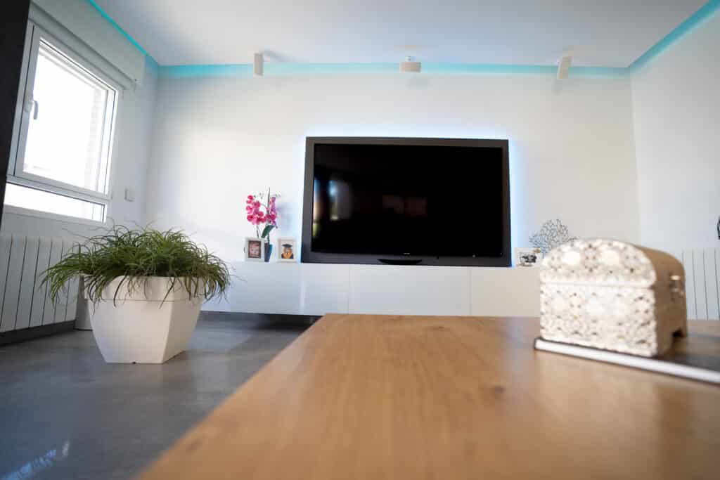 Televisión gigante en salón y planta de interior